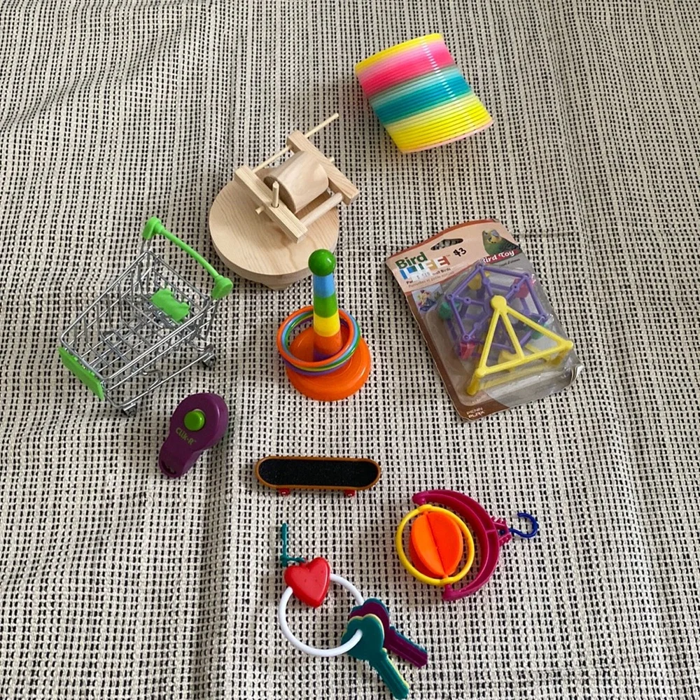 bird toys